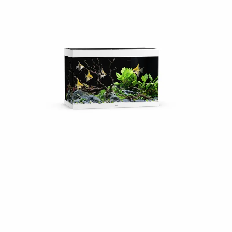 JUWEL Rio 290 LED weiß Aquarium Sonderaktion